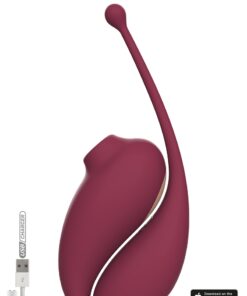 Oeuf vibrant et stimulateur clitoridien connectés - Inspiration