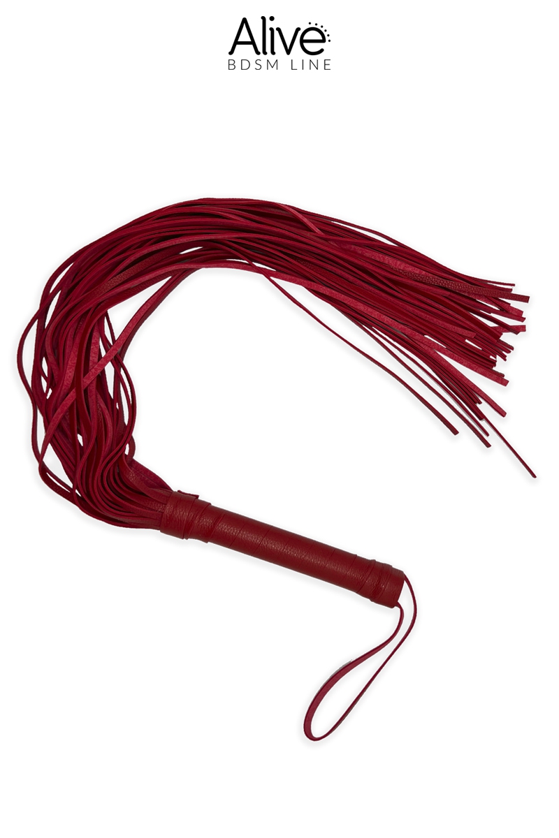 19179-1673551104.jpg